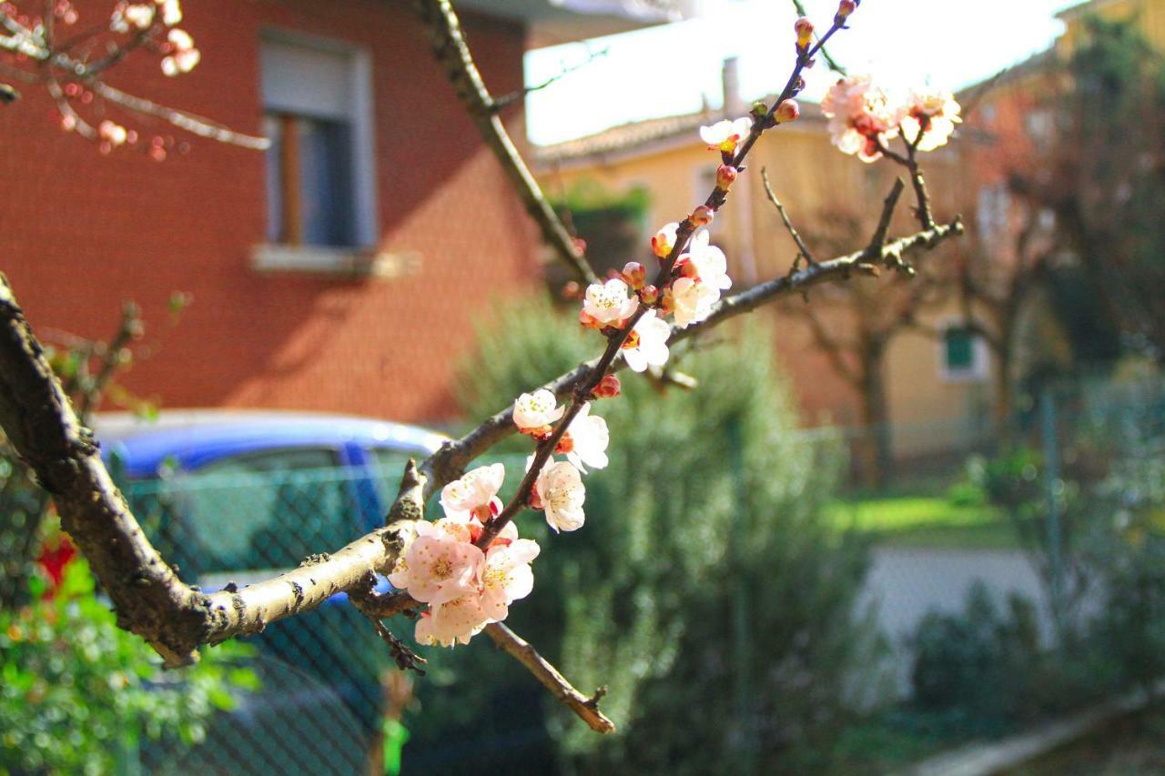 Hiwya - Home Is Where You Are Bologna Exterior photo